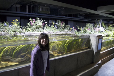 2010-07-06 - London Aquarium (115) - Reduzida