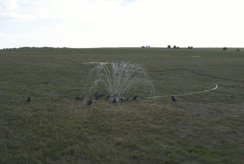 2010-07-09 - Stonehenge (121) - Reduzida