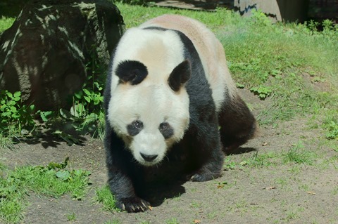 CAP - 20120720 - Berlim (1038)