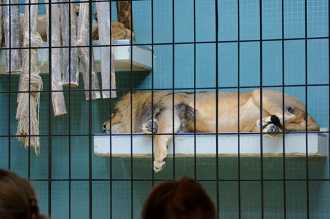 CAP - 20120720 - Berlim (1045)