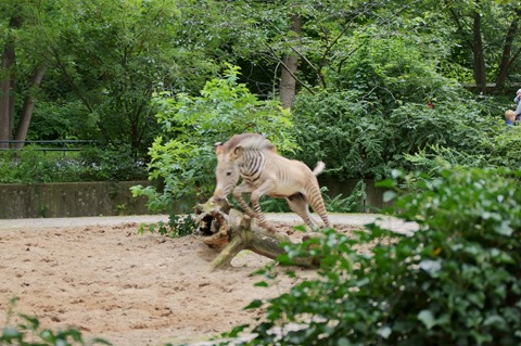 CAP - 20120720 - Berlim (1186)