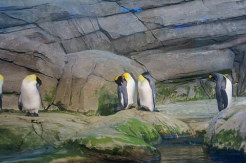 CAP - 20120720 - Berlim (1201)