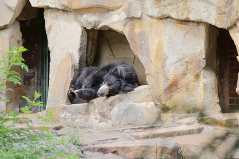 CAP - 20120720 - Berlim (1294)