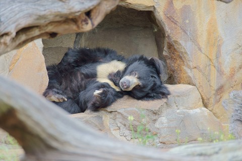 CAP - 20120720 - Berlim (1307)