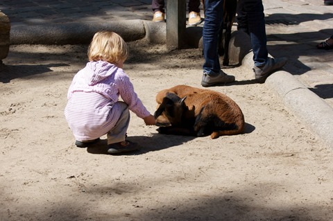 CAP - 20120720 - Berlim (1368)