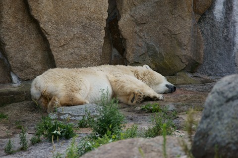 CAP - 20120720 - Berlim (1376)