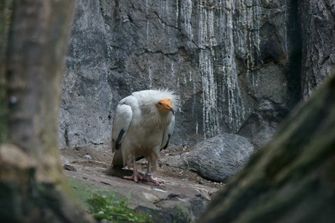 CAP - 20120720 - Berlim (1400)