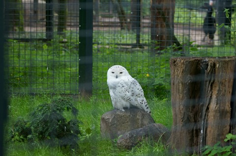 CAP - 20120720 - Berlim (1405)