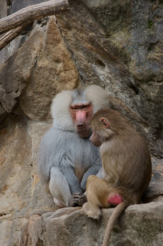 CAP - 20120720 - Berlim (966)