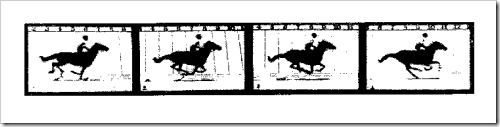 Muybridge - Animal Locomotion - 1860