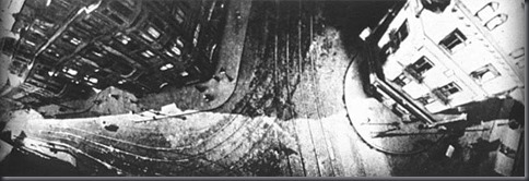 Pigeon5.jpg.CROP.article920-large