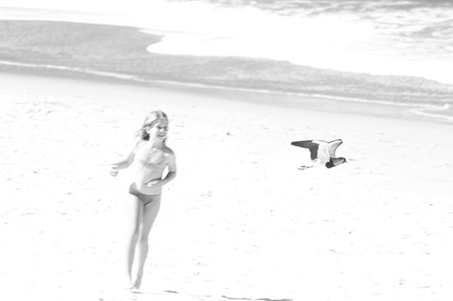 A Menina e a Gaivota