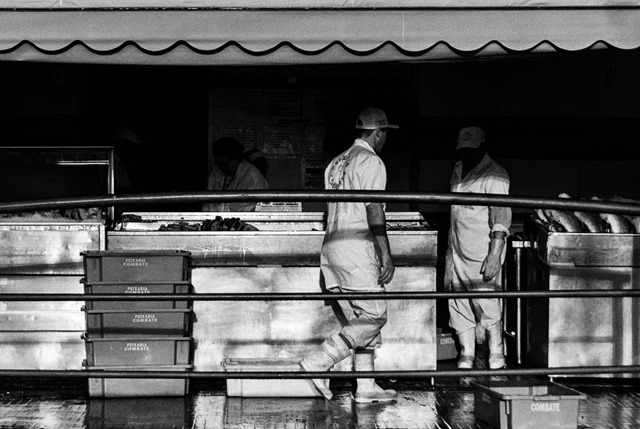 Mercado Municipal IV