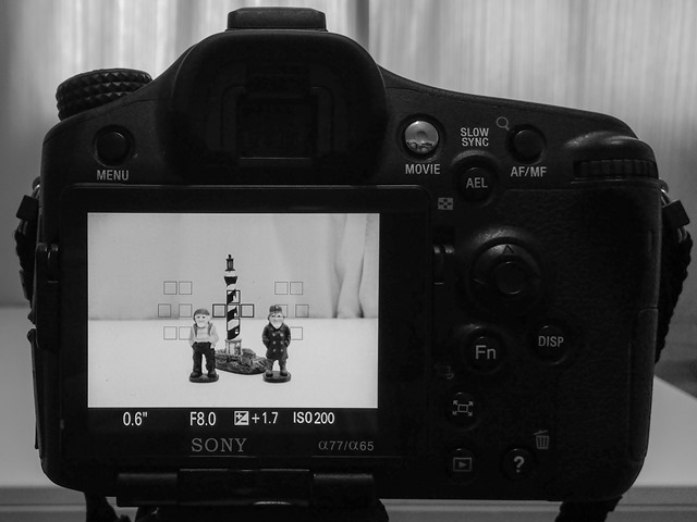 Os Marujos e o Farol - Imagem do LCD